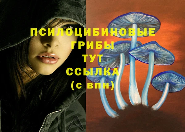 гидра Абдулино