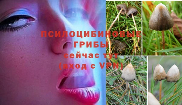 a pvp Абинск