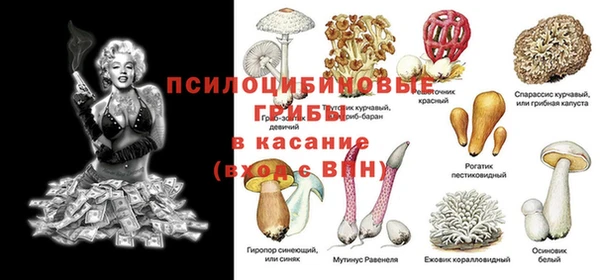 a pvp Абинск
