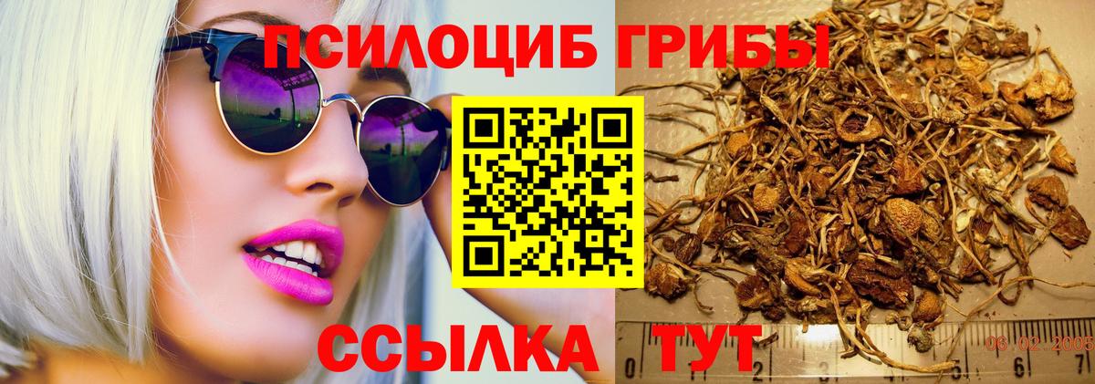 Псилоцибиновые грибы ЛСД Копейск