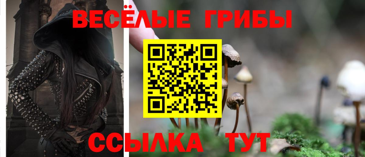 где купить наркоту  Вход с VPN  Галлюциногенные грибы Magic Shrooms  Копейск  Галлюциногенные грибы MAGIC MUSHROOMS 